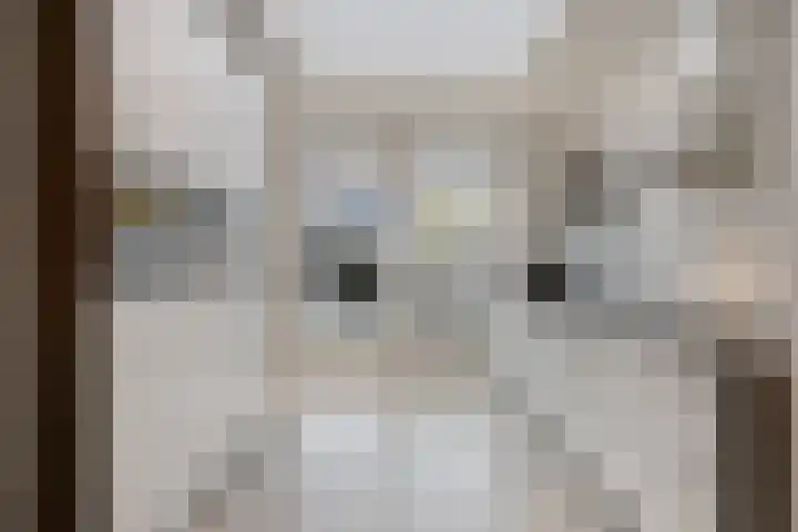 Faunalaan 79 Boxmeer thumbnail 4