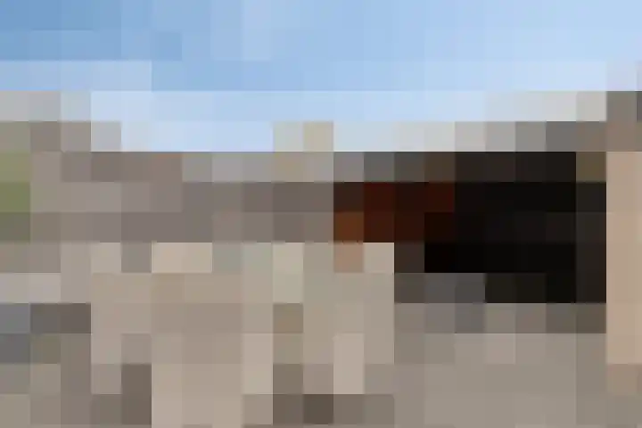 Faunalaan 79 Boxmeer thumbnail 40