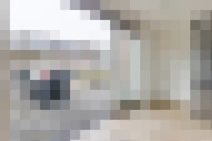 Faunalaan 83 Uithoorn thumbnail 13