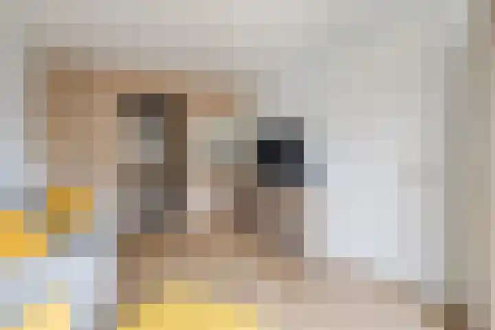 Faunalaan 83 Uithoorn thumbnail 21