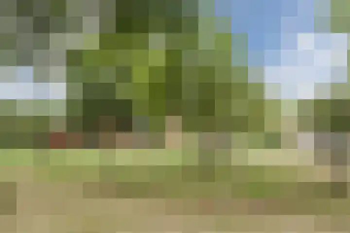 Faunalaan 9 Boxmeer thumbnail 31