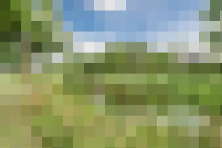 Faunalaan 9 Boxmeer thumbnail 32