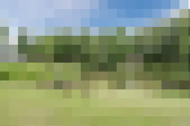 Faunalaan 9 Boxmeer thumbnail 33