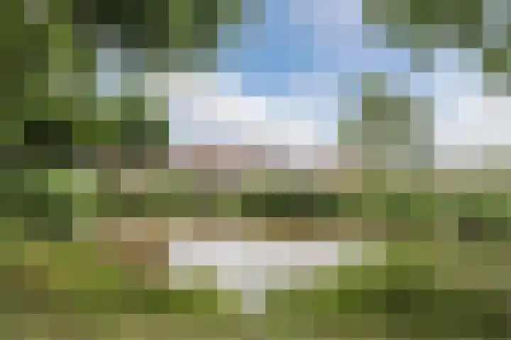 Faunalaan 9 Boxmeer thumbnail 34