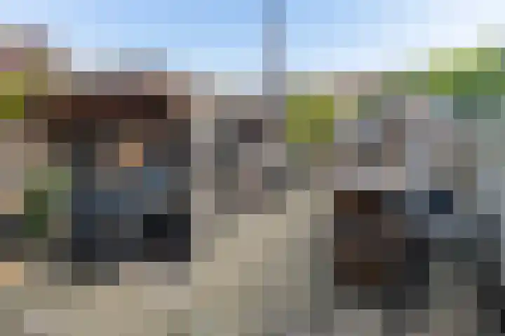 Faunalaan 90 Driebergen-Rijsenburg thumbnail 27