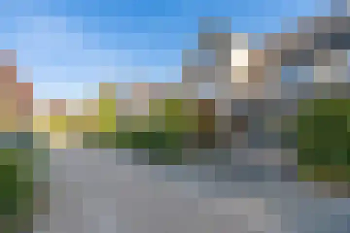 Faunalaan 90 Driebergen-Rijsenburg thumbnail 32