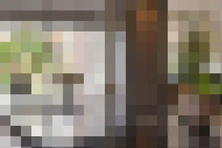 Faunalaan 93 Uithoorn thumbnail 15