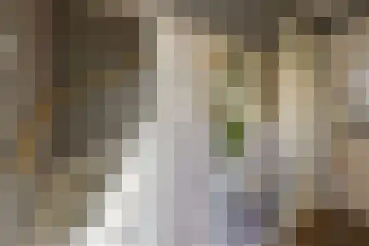 Faunalaan 93 Uithoorn thumbnail 19