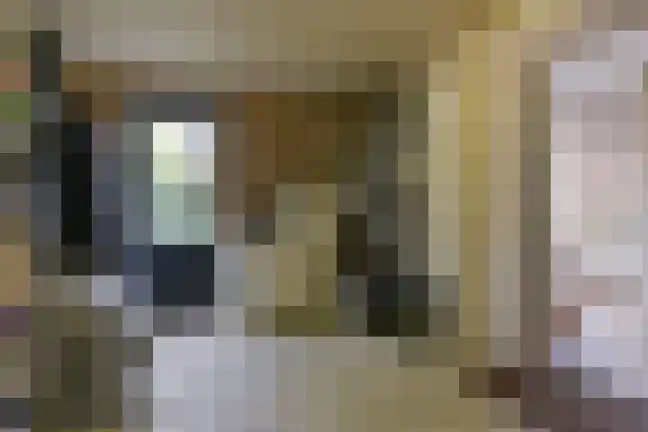 Faunalaan 93 Uithoorn thumbnail 33