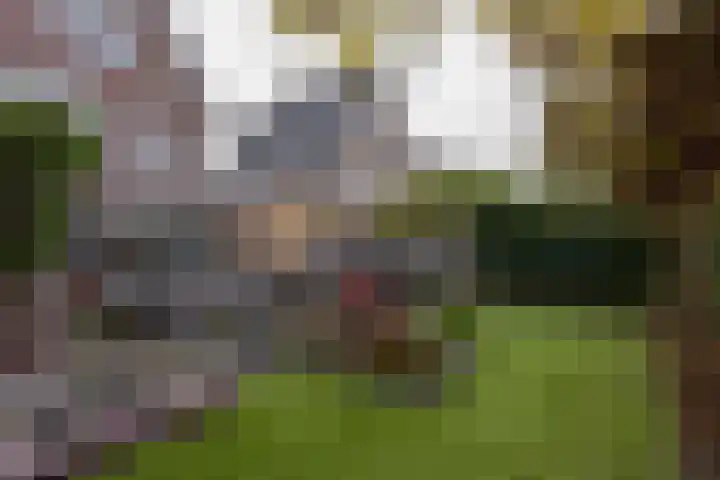Faunalaan 93 Uithoorn thumbnail 38