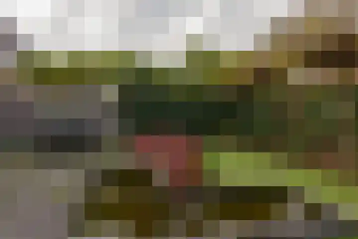 Faunalaan 93 Uithoorn thumbnail 39