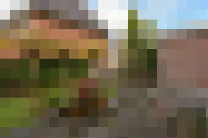 Faunalaan 93 Uithoorn thumbnail 40