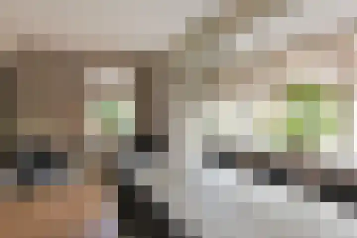 Faunalaan 93 Uithoorn thumbnail 9