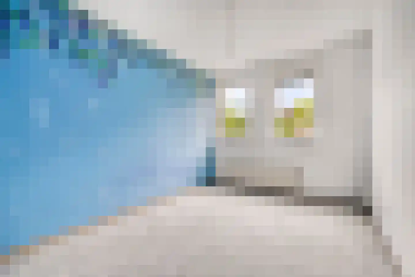 Faunapad 9 Delft thumbnail 19