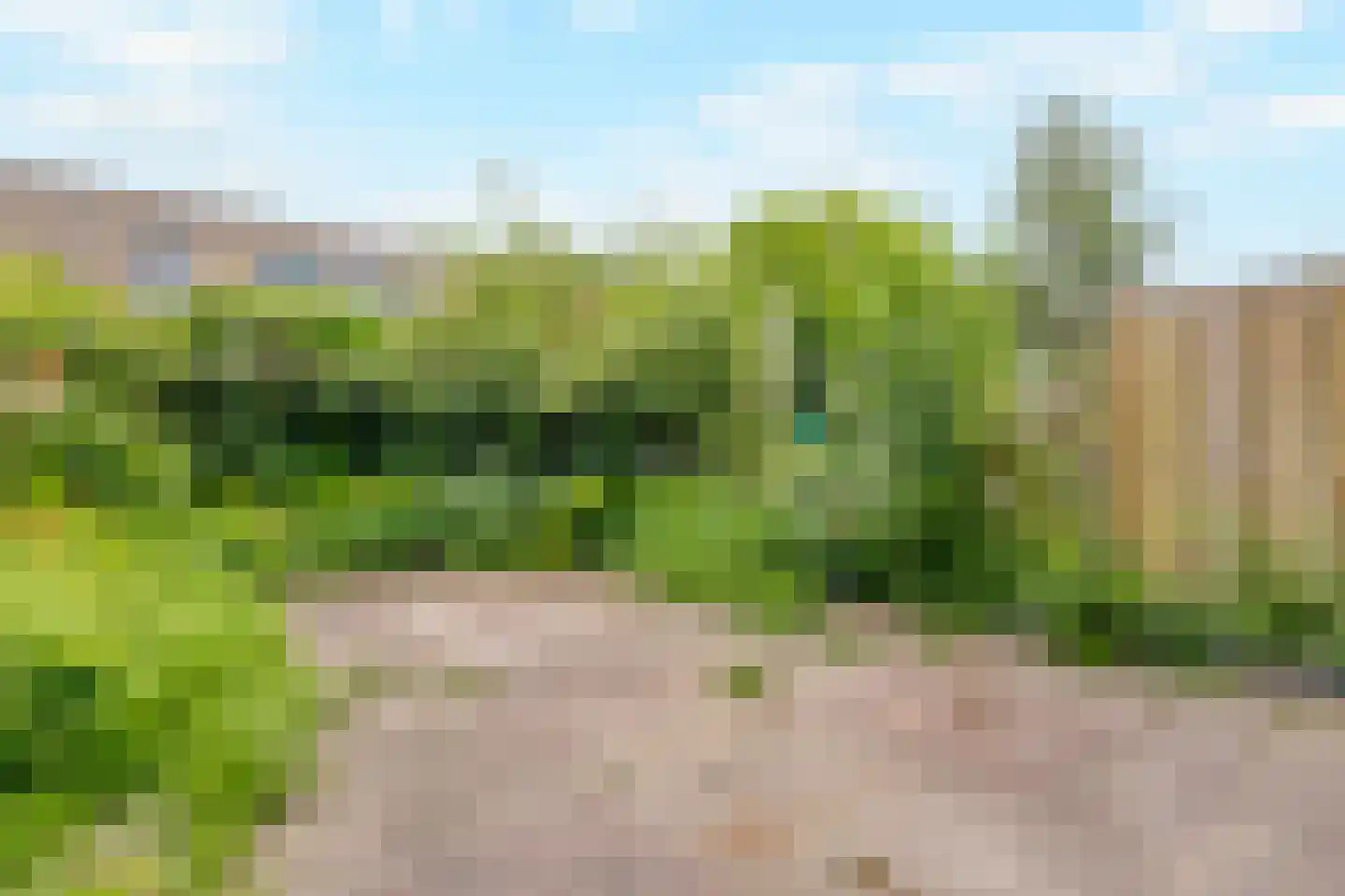 Faunapad 9 Delft thumbnail 23