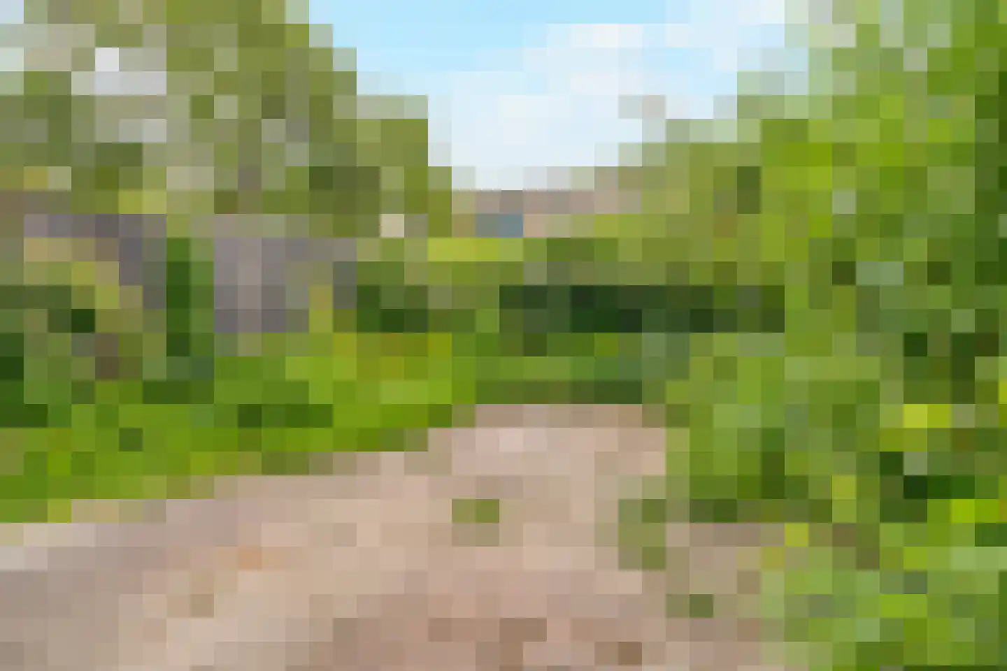 Faunapad 9 Delft thumbnail 24