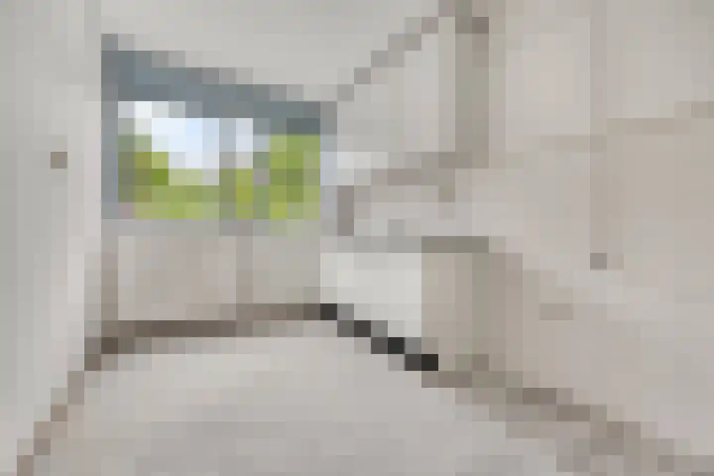 Faunapad 9 Delft thumbnail 7