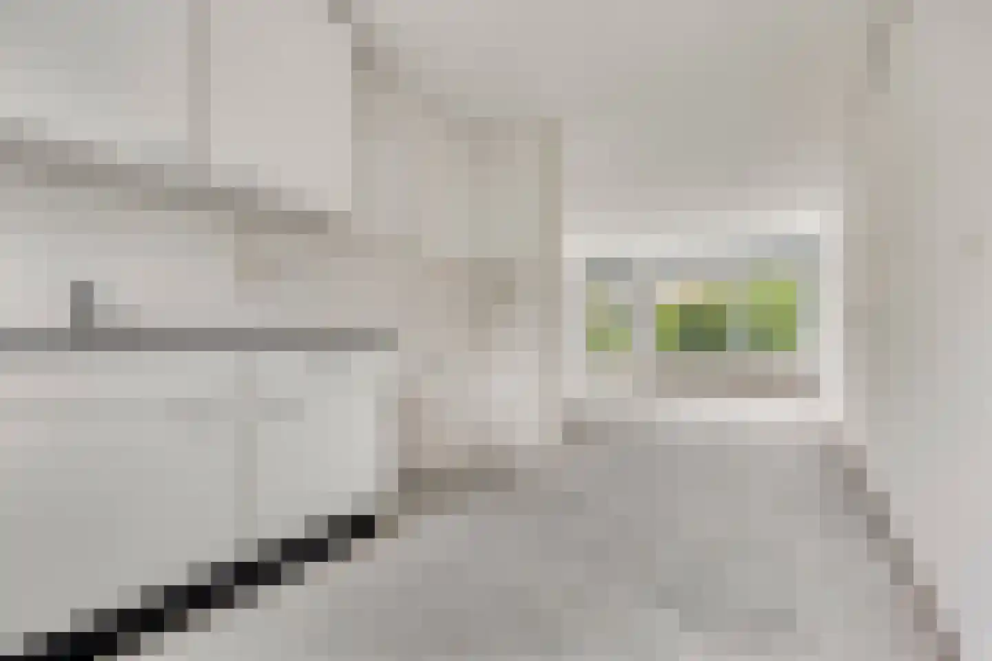 Faunapad 9 Delft thumbnail 8
