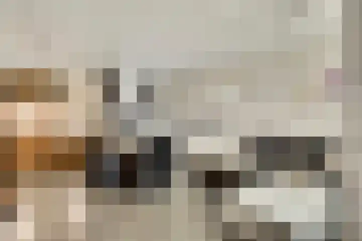 Faunasingel 21 Roermond thumbnail 10
