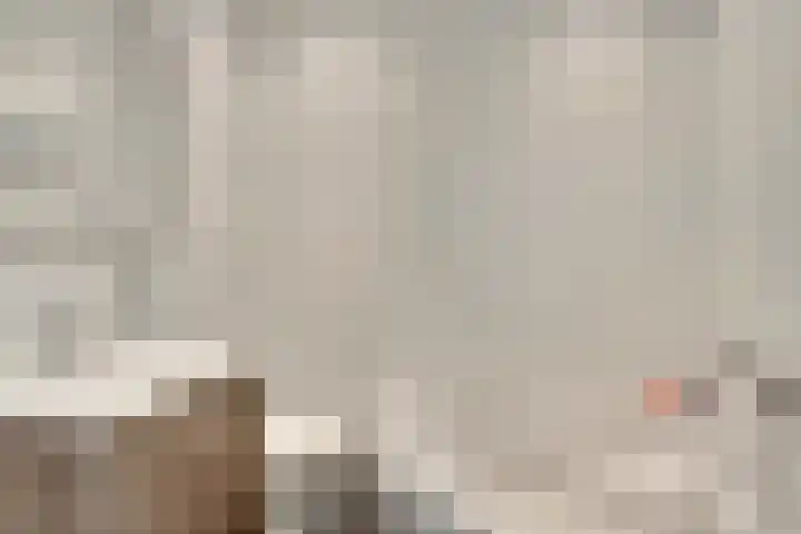 Faunasingel 21 Roermond thumbnail 16