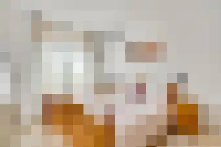 Faunasingel 21 Roermond thumbnail 19