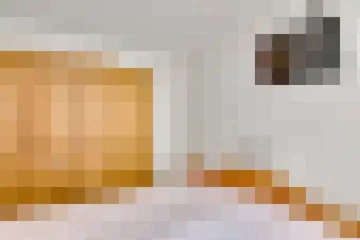 Faunasingel 21 Roermond thumbnail 20