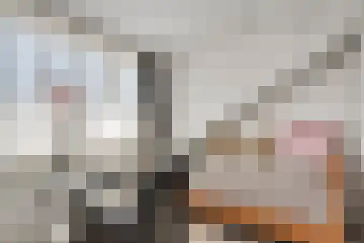 Faunasingel 21 Roermond thumbnail 26