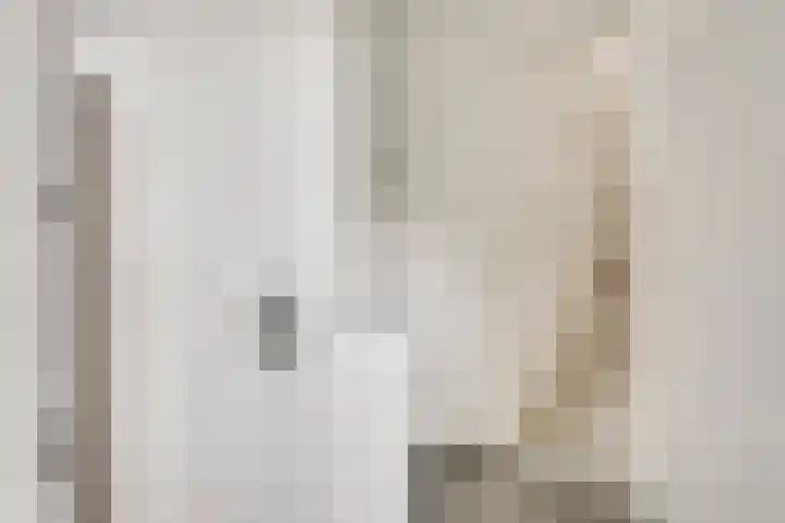 Faunasingel 21 Roermond thumbnail 4