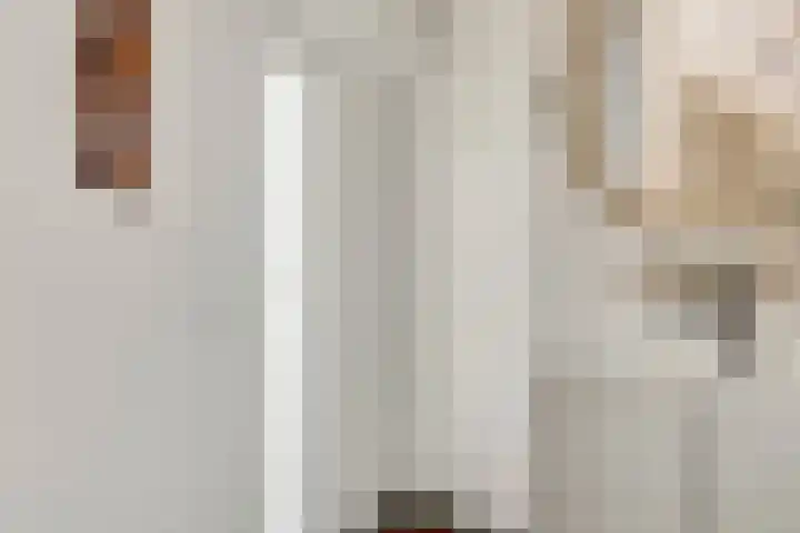 Faunasingel 21 Roermond thumbnail 5