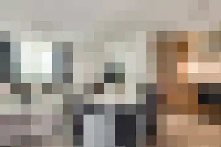 Faunasingel 21 Roermond thumbnail 9