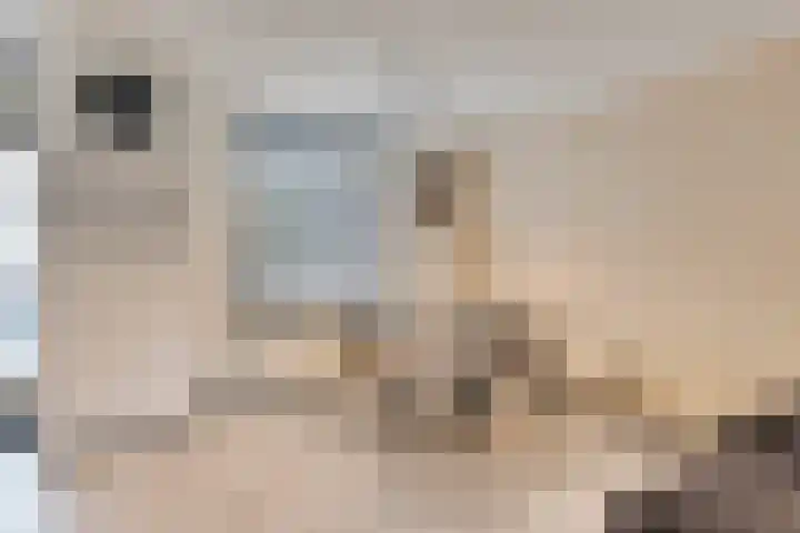 Faunasingel 25 Roermond thumbnail 11