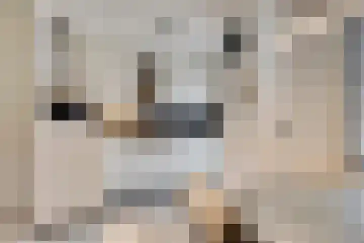 Faunasingel 25 Roermond thumbnail 12