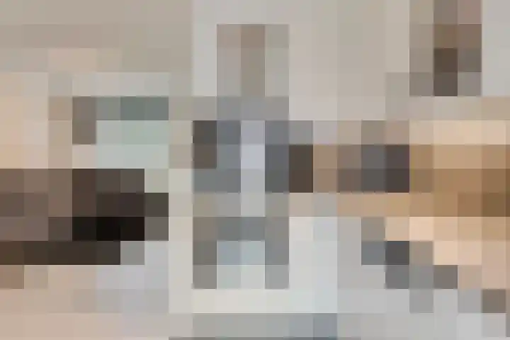 Faunasingel 25 Roermond thumbnail 14