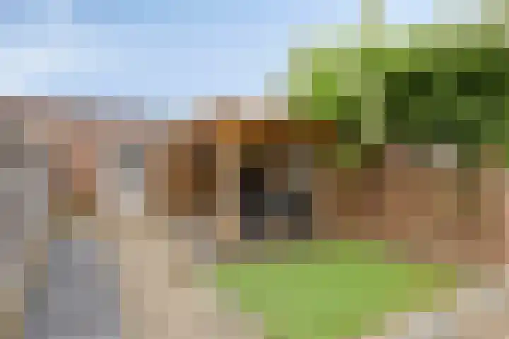 Faunasingel 25 Roermond thumbnail 23