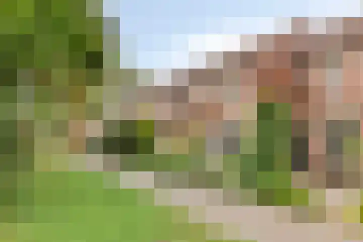 Faunasingel 25 Roermond thumbnail 27