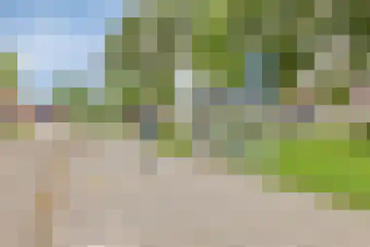 Faunasingel 25 Roermond thumbnail 28