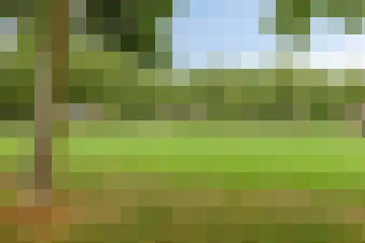 Faunasingel 25 Roermond thumbnail 29