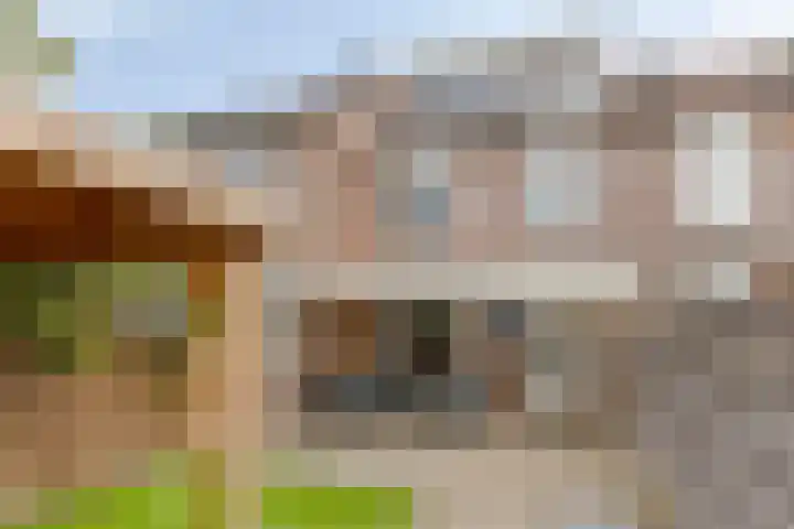 Faunasingel 25 Roermond thumbnail 4