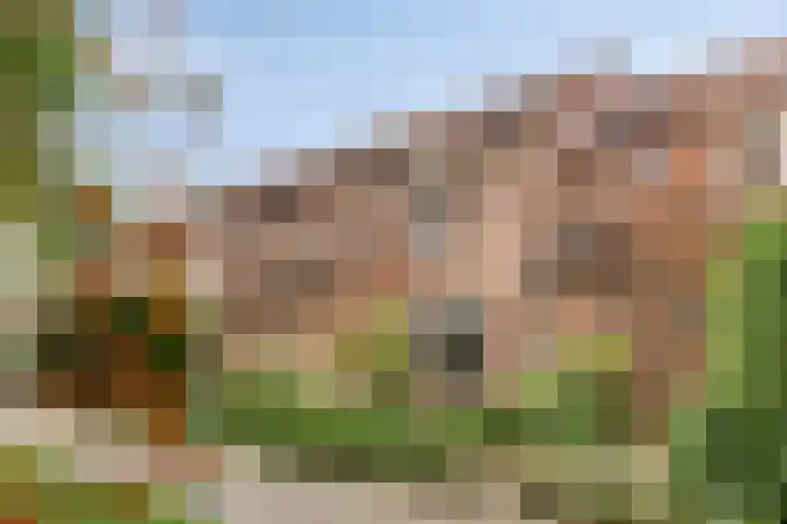 Faunasingel 25 Roermond thumbnail 5