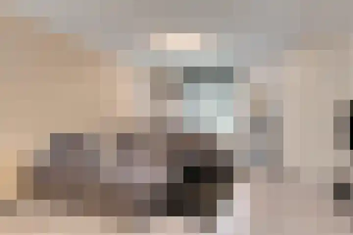 Faunasingel 25 Roermond thumbnail 8