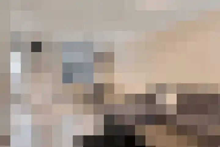 Faunasingel 25 Roermond thumbnail 9