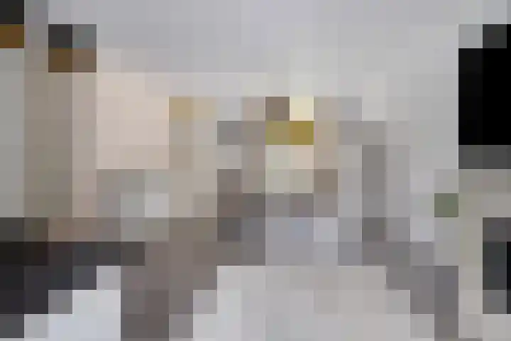 Faunasingel 29 Roermond thumbnail 10