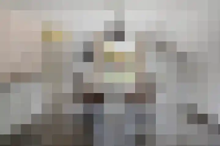 Faunasingel 29 Roermond thumbnail 11
