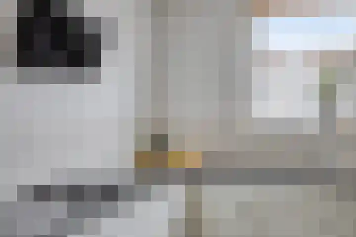 Faunasingel 29 Roermond thumbnail 14
