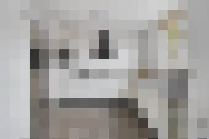 Faunasingel 29 Roermond thumbnail 15