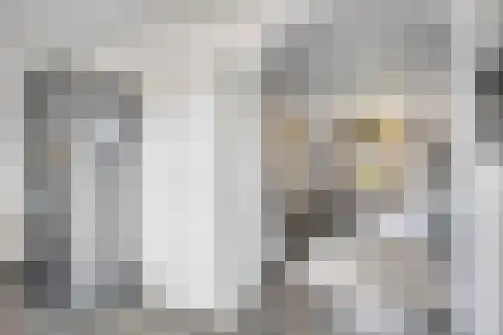 Faunasingel 29 Roermond thumbnail 16