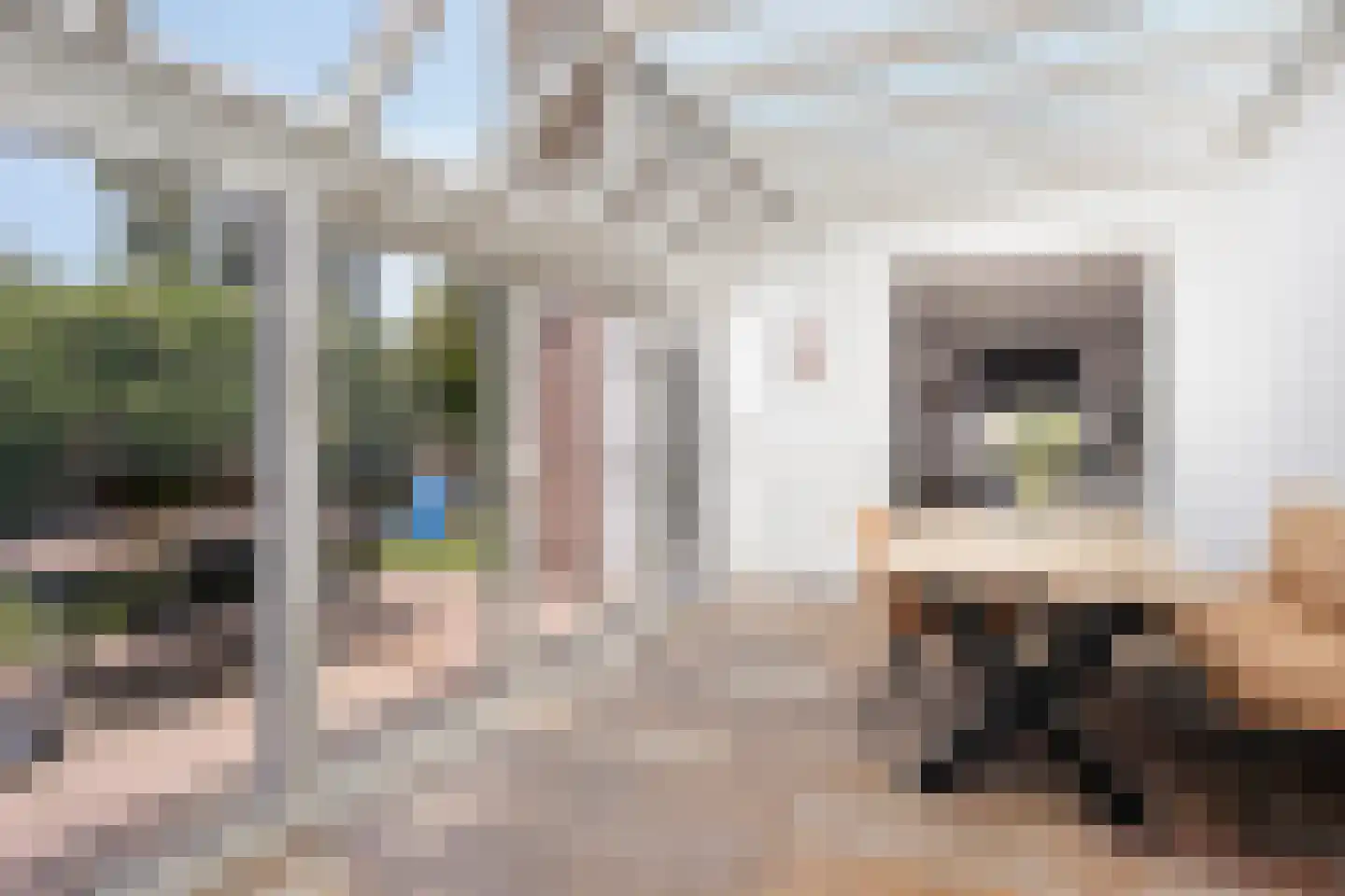 Faunasingel 33 Roermond thumbnail 16