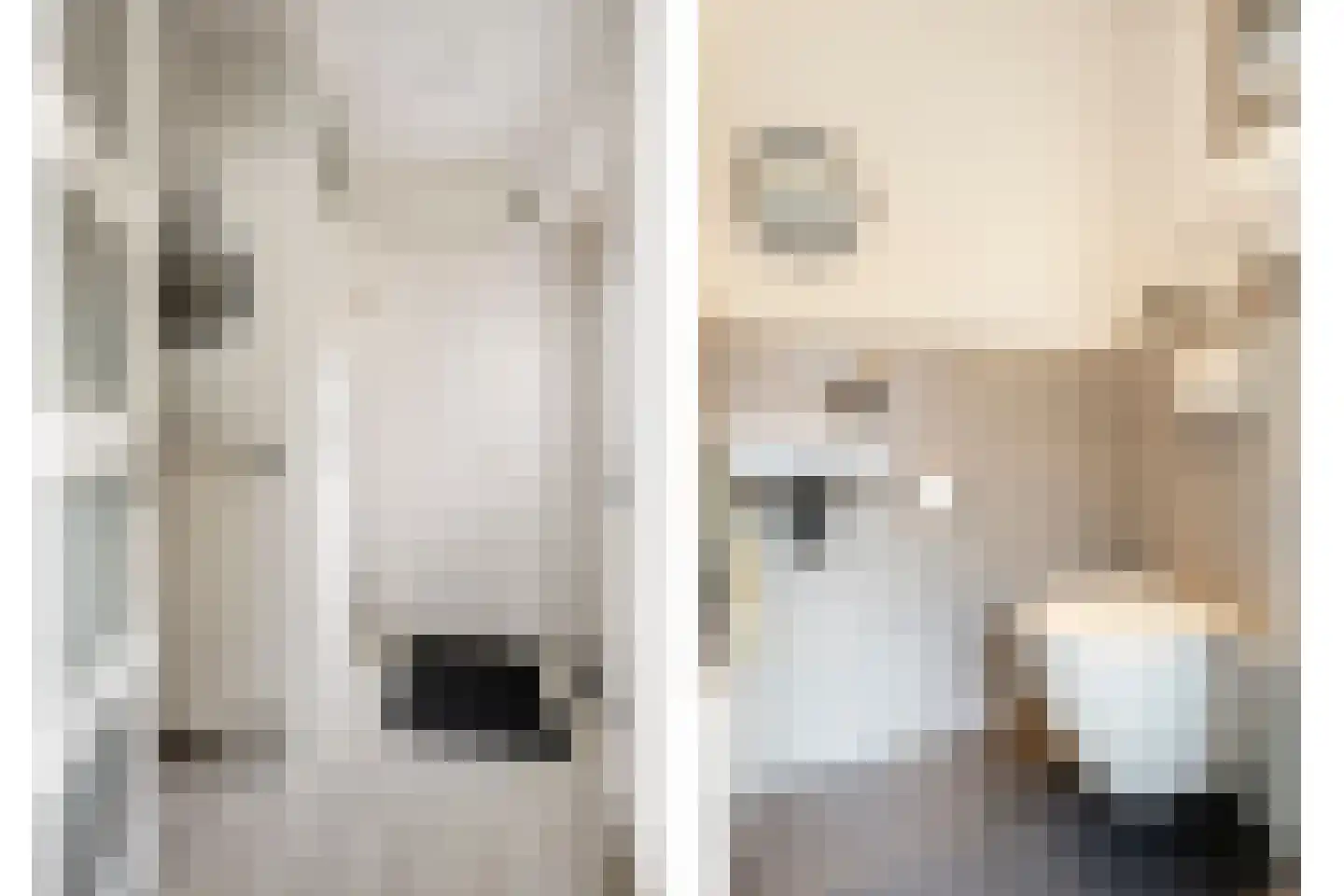 Faunasingel 33 Roermond thumbnail 8
