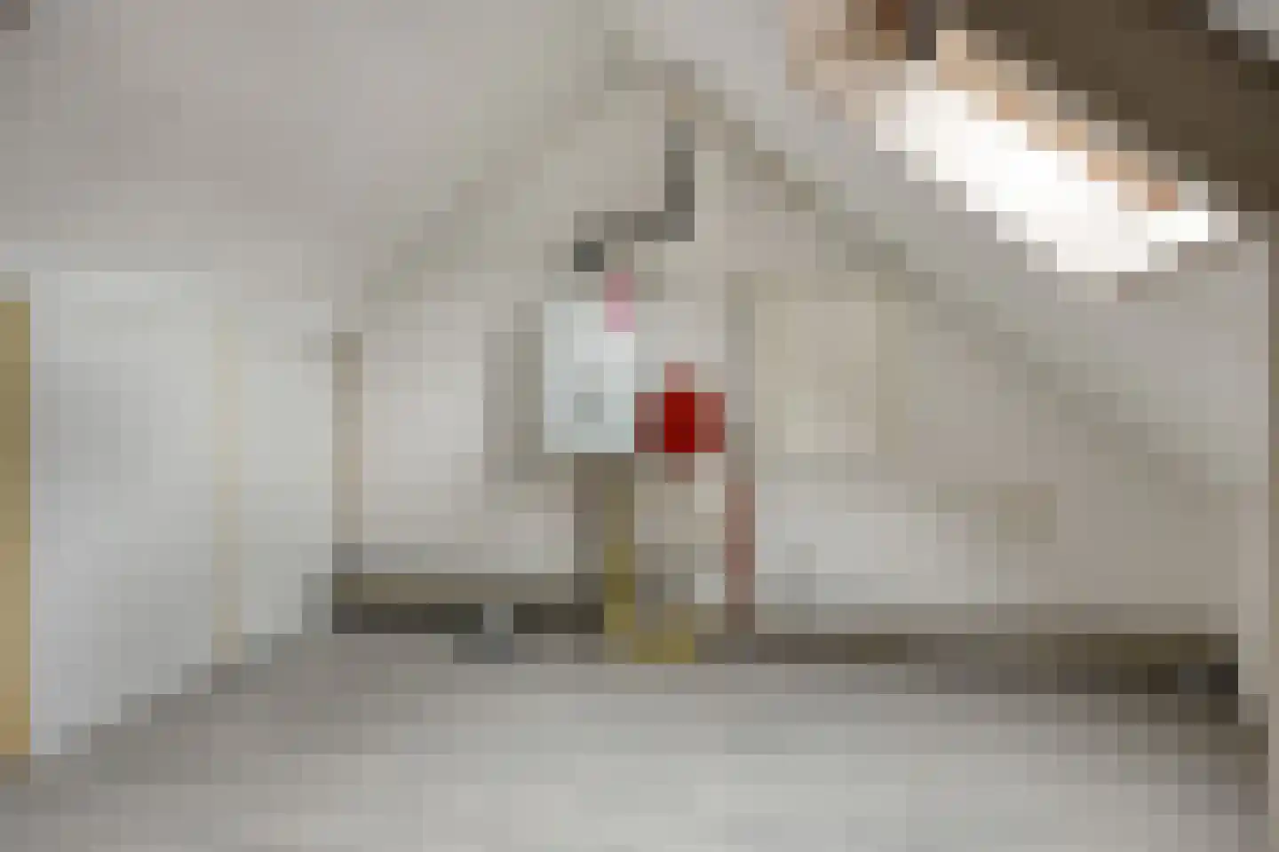 Faunasingel 37 Roermond thumbnail 20