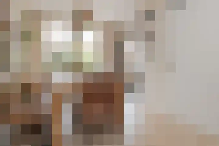 Faunasingel 41 Roermond thumbnail 10